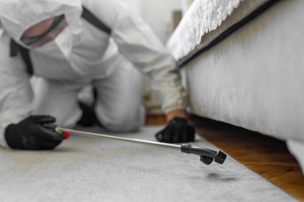 Professional Bed Bug Control technician working in Houghton County County, MI